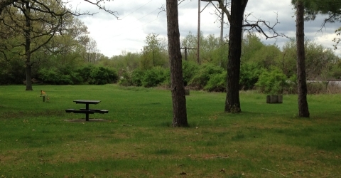 Picnic Area