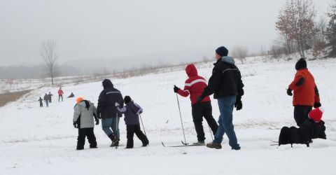 Cross-country Skiing