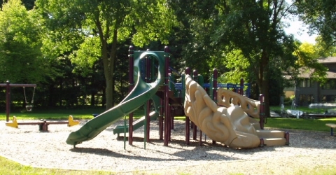 Play Area