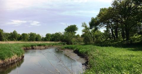 Upper Reaches of the Yahara River