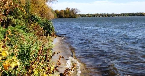 Shoreline along Lake Kegonsa