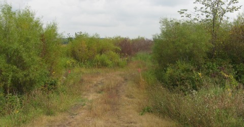 Walking Iron Wildlife Area