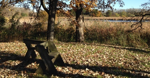 Autumn View from Benches