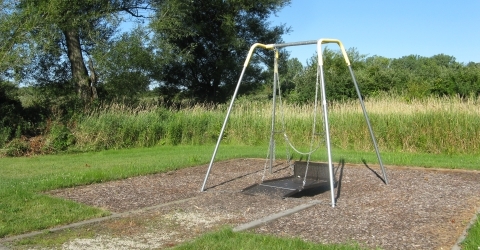 Accessible Swing