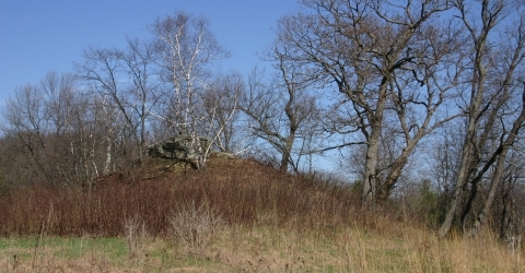 Rock Outcrop