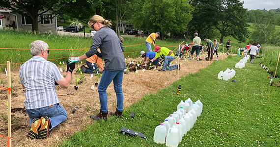 Friends of Stewart Lake planting a native plant garden