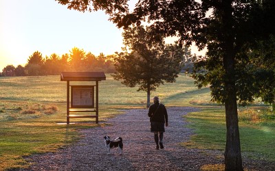 early morning light at Token Creek Dog Park