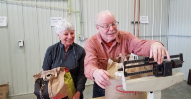 Volunteers weigh seeds