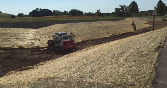 erosion control