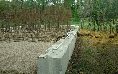 Gravel bed with small trees in in