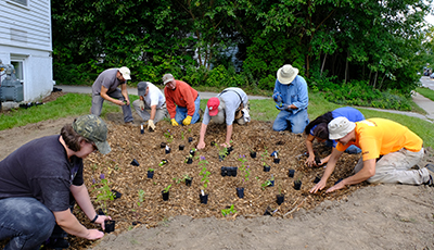 International Zen Dojo Rain Garden