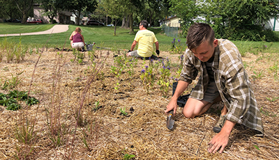 Washington Manor Park Native Garden