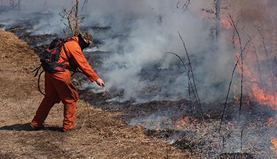 Controlled Burn