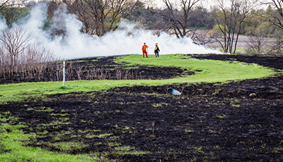 Controlled Burn