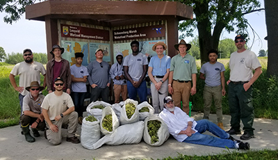 Seed Collection Volunteers