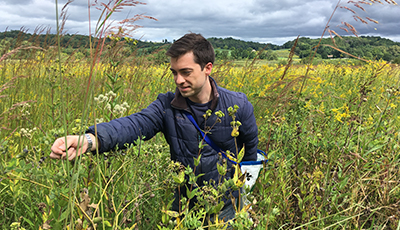 Volunteer Collecting Seeds