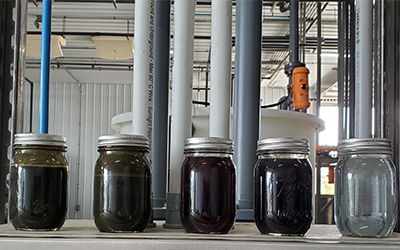 Nutrient Concentration System Treatment Samples from manure on left to clean water on right