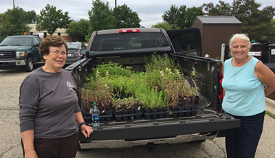 Volunteer Plant Growers