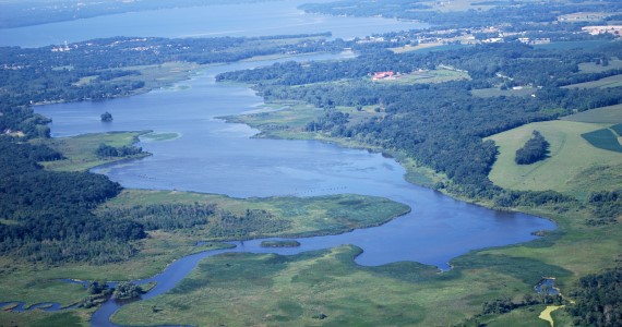 Cherokee Marsh looking towards Lake Mendota