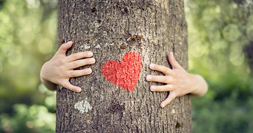 Child hugging a tree