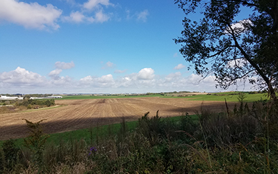 Agricultural field